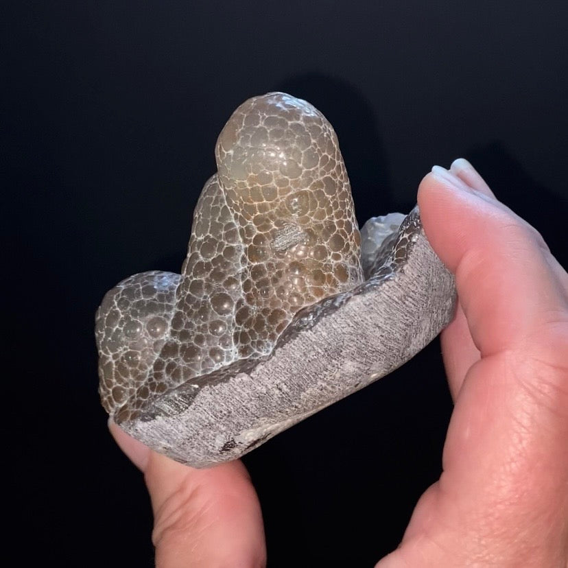 Textural Botryoidal Chalcedony with Vertical Columns – Maharashtra, India