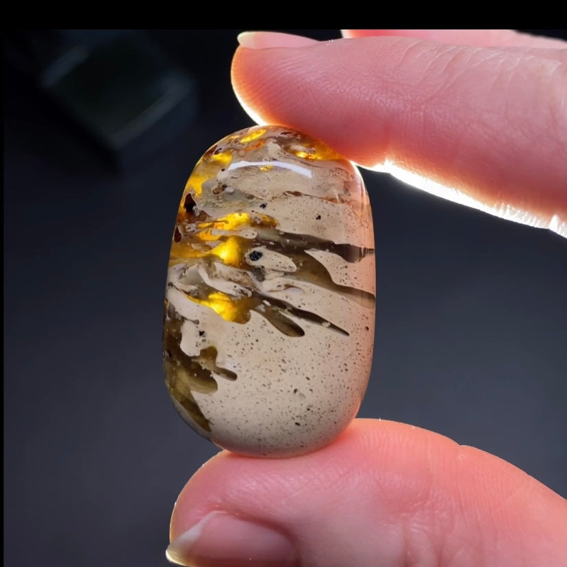 Sumatran Zebra Amber Tumble, Natural Fossil Amber with Intricate Caramel Patterning