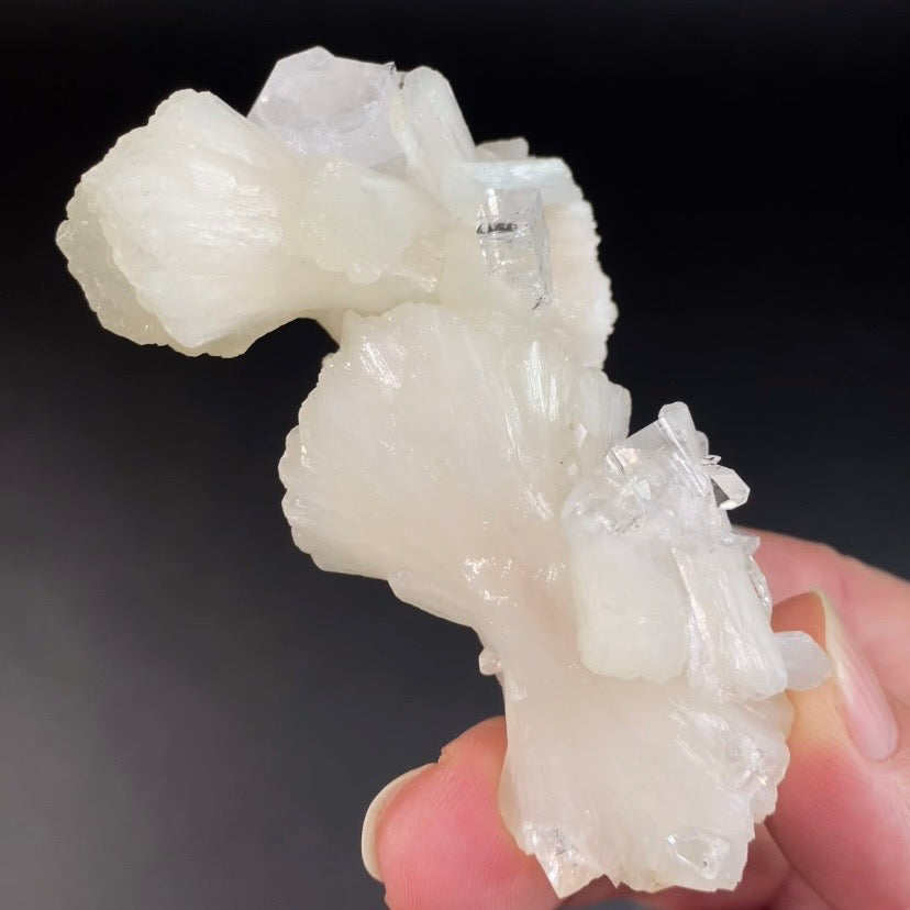 White Stilbite Bow Tie Cluster with Clear Apophyllite Crystals