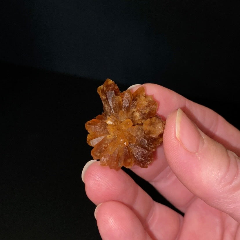 Floater Citrine Colored Honey Brown Quartz Cluster - Midelt, Morocco