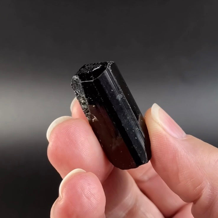 Terminated Black Tourmaline Schorl Crystal from Shigar Valley, Pakistan