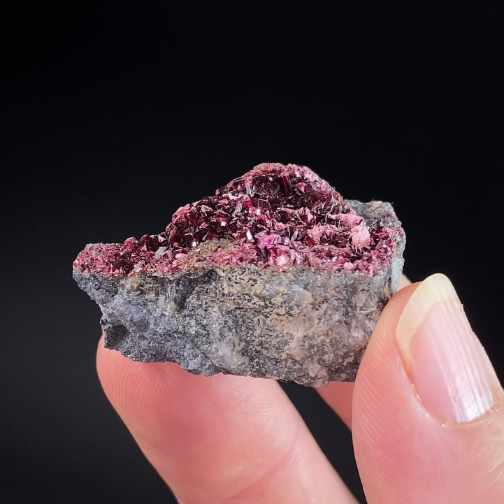Deep Red Erytherite Crystals on Matrix, Bou Azzer District, Morocco