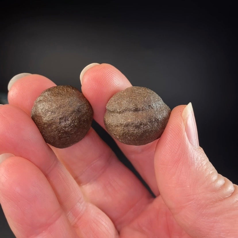 Shaman Stone aka Moqui Marble Male and Female Pair of Stones