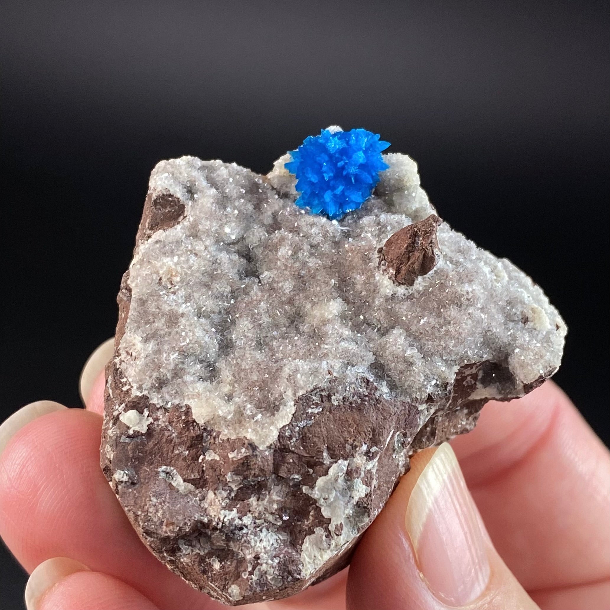 Vibrant Blue Cavansite Cluster on Druzy Stilbite & Basalt Matrix
