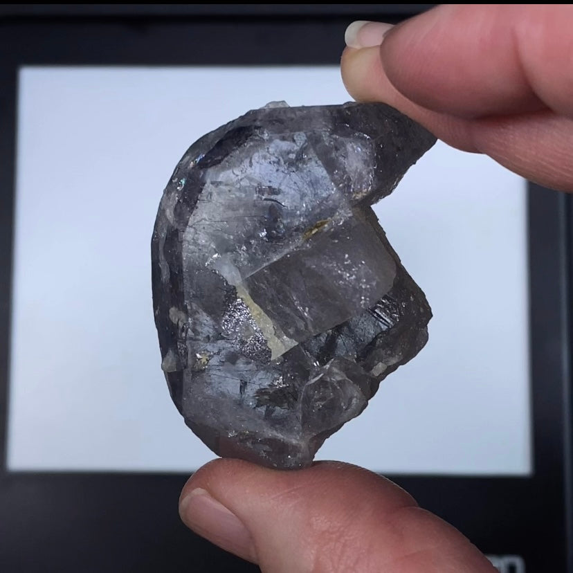 Lavender Gray Apatite Crystal with Actinolite Inclusions