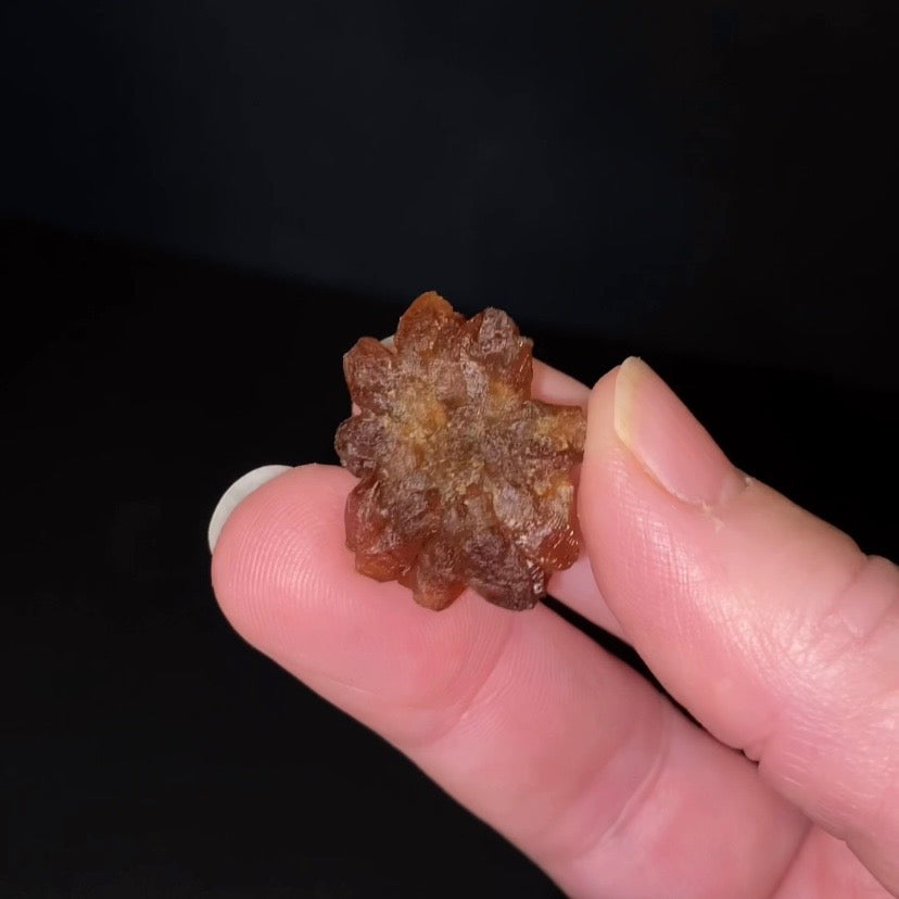 Floater Citrine Colored Honey Brown Quartz Flower Cluster - Midelt, Morocco