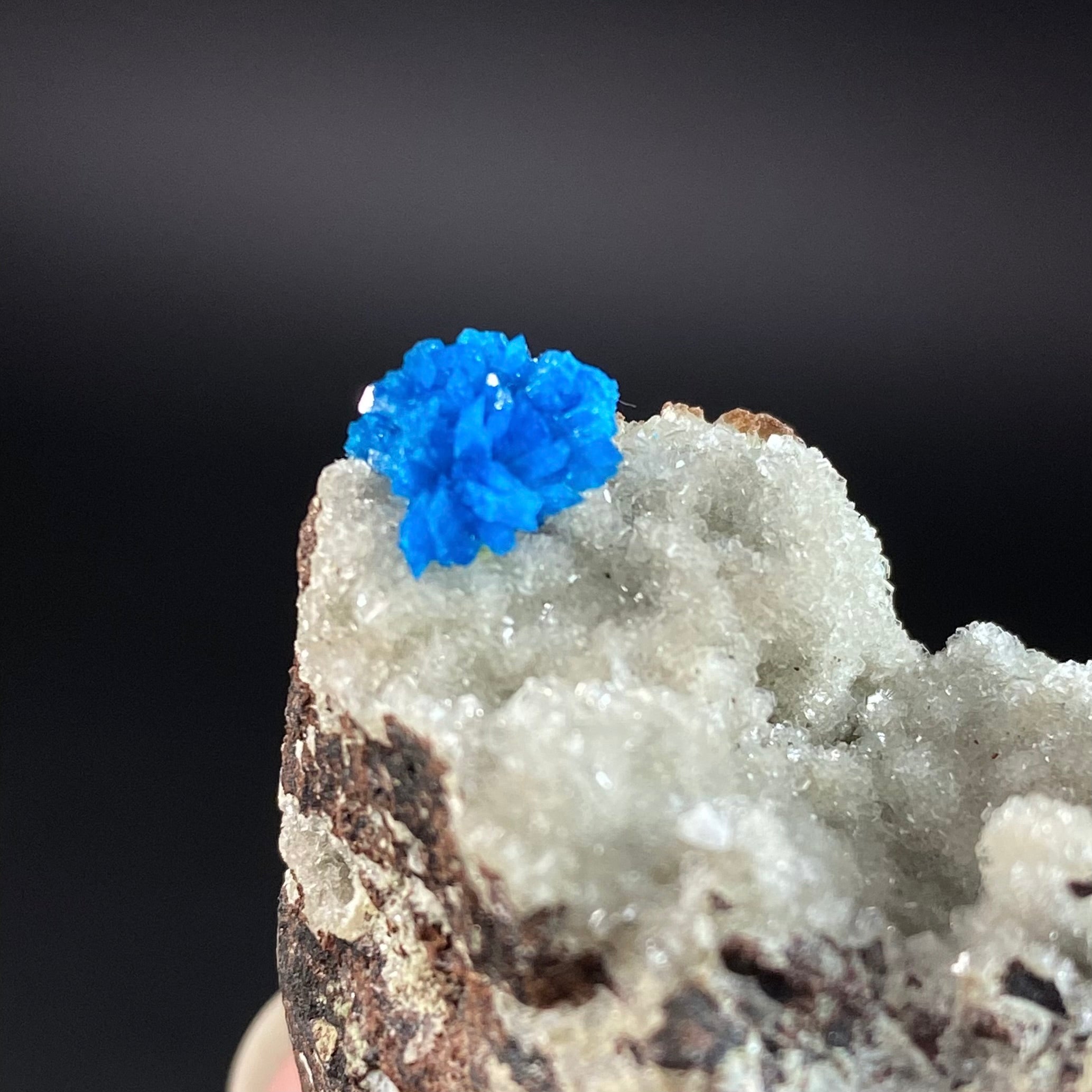 Vibrant Blue Cavansite Cluster on Druzy Stilbite & Basalt Matrix