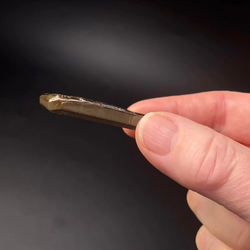 Canadian Korite Ammolite Hand Specimen in Display Box