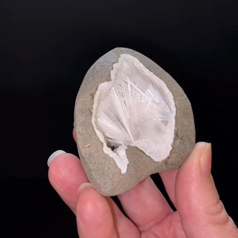 Radiating Scolecite Crystals with Quartz in Trimmed Basalt Pocket