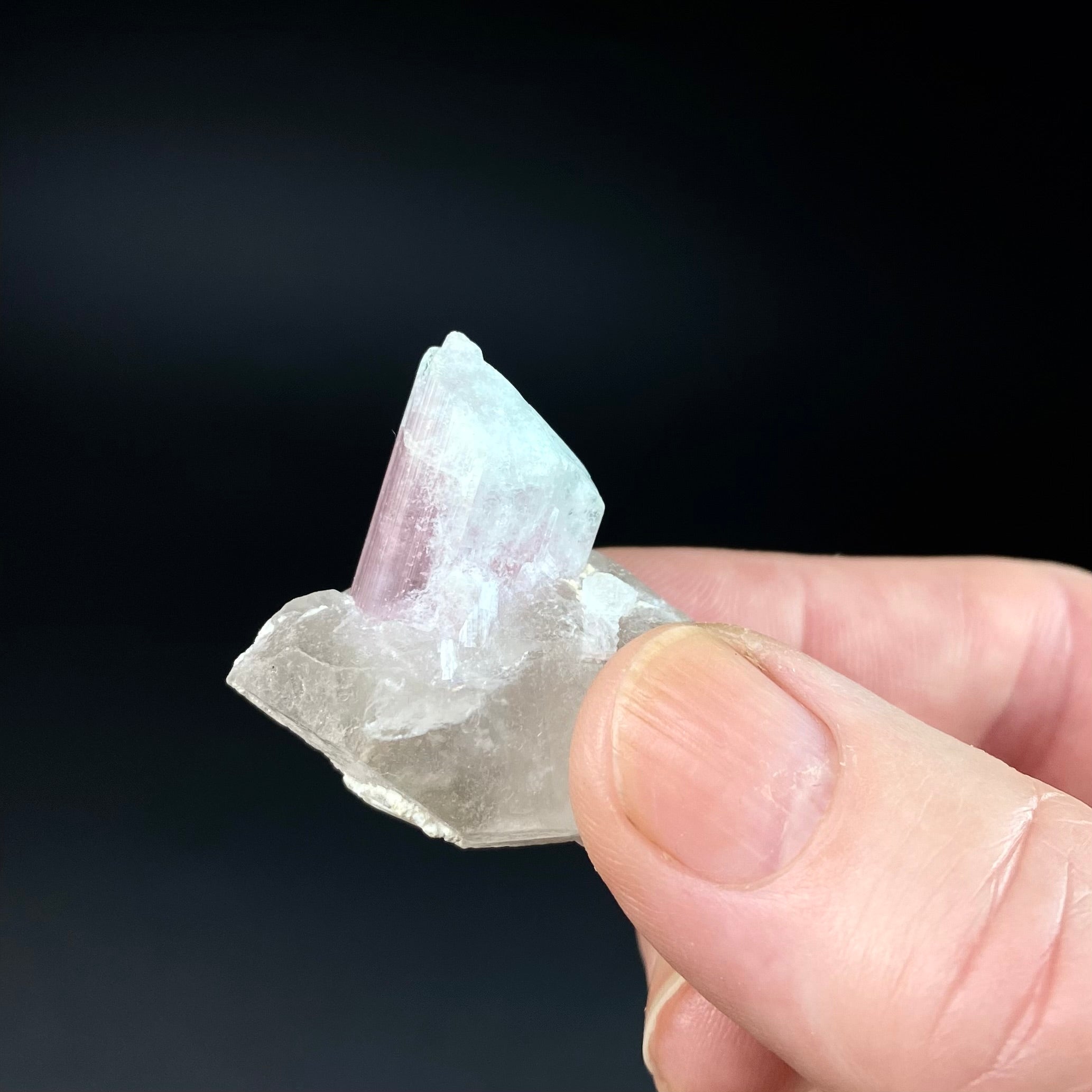 Bicolor Pink & Green Tourmaline on a Light Smoky Quartz Crystal