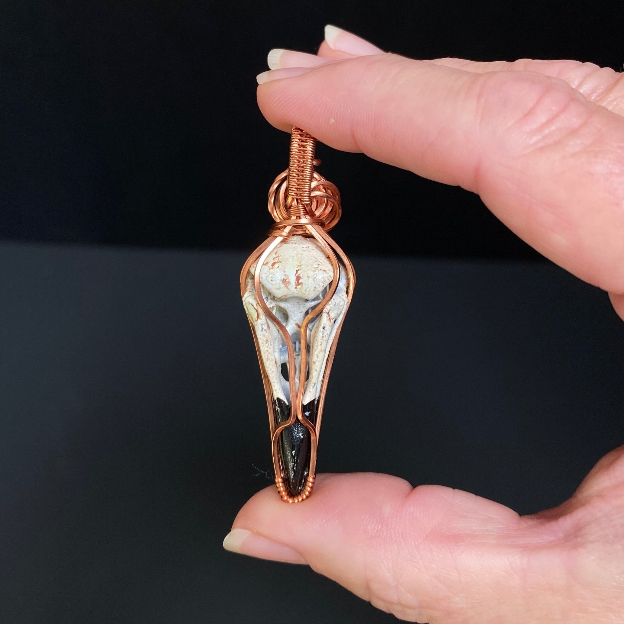 Resin Raven Skull & Spiral Copper Wire Wrapped Pendant
