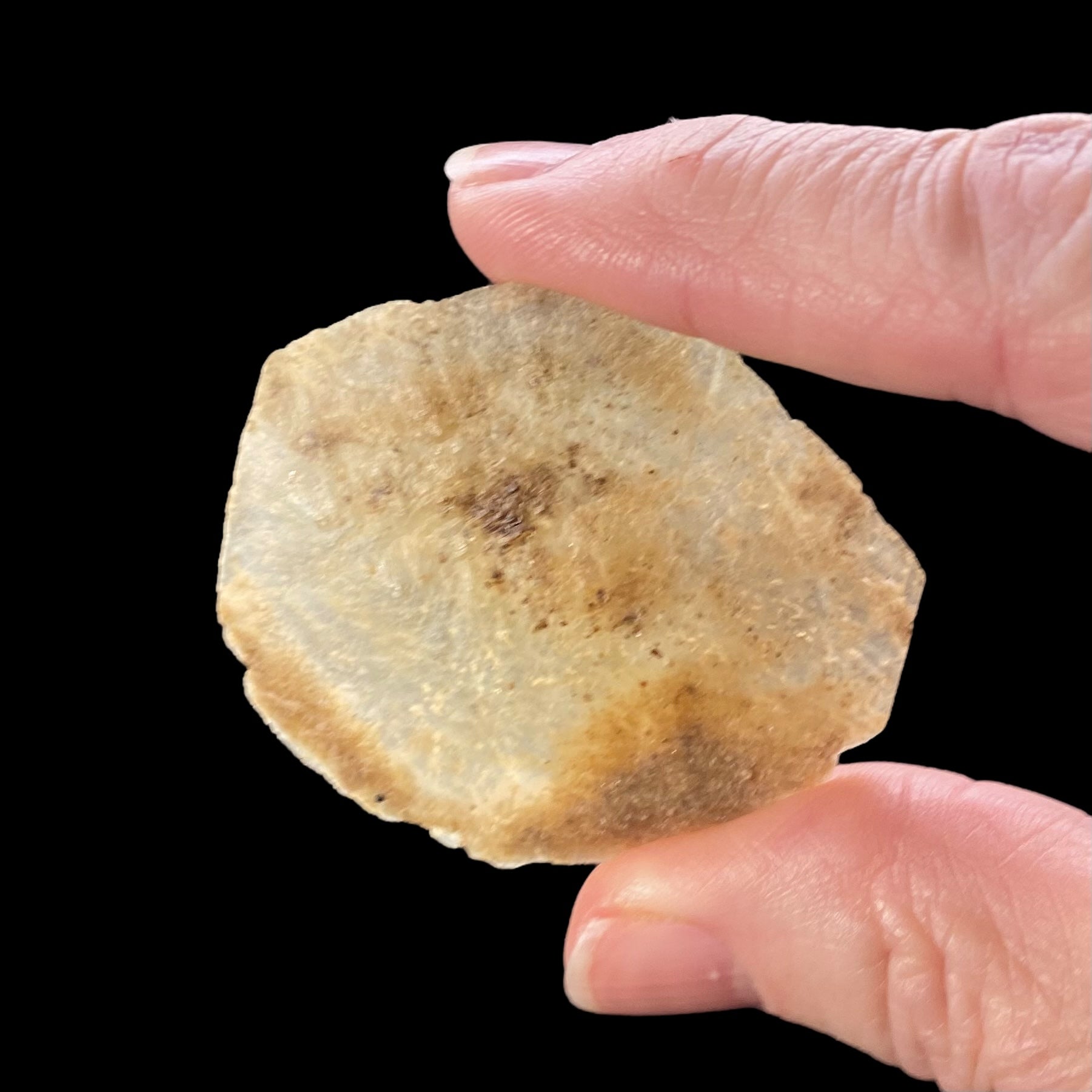 Gypsum var. Selenite Desert Rose Sand Crystal Dollar, Fluorescent