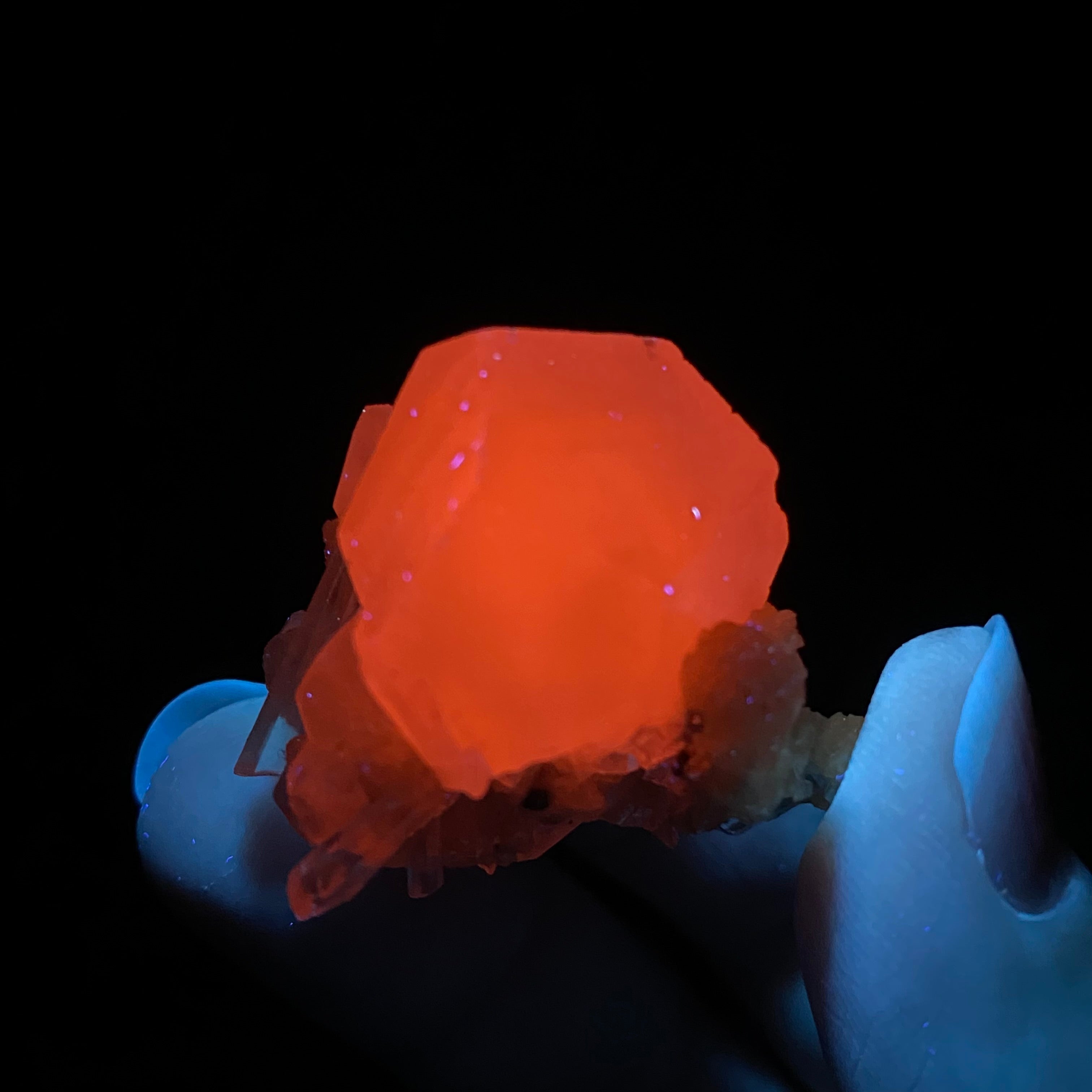 Fluorescent Calcite Cluster with Golden Siderite and Quartz from Trepça Mines, Kosovo