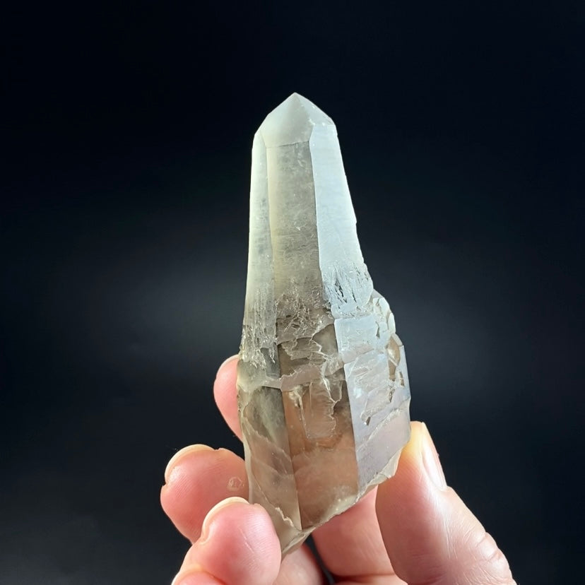 Unique Reverse Scepter Smoky Quartz Crystal