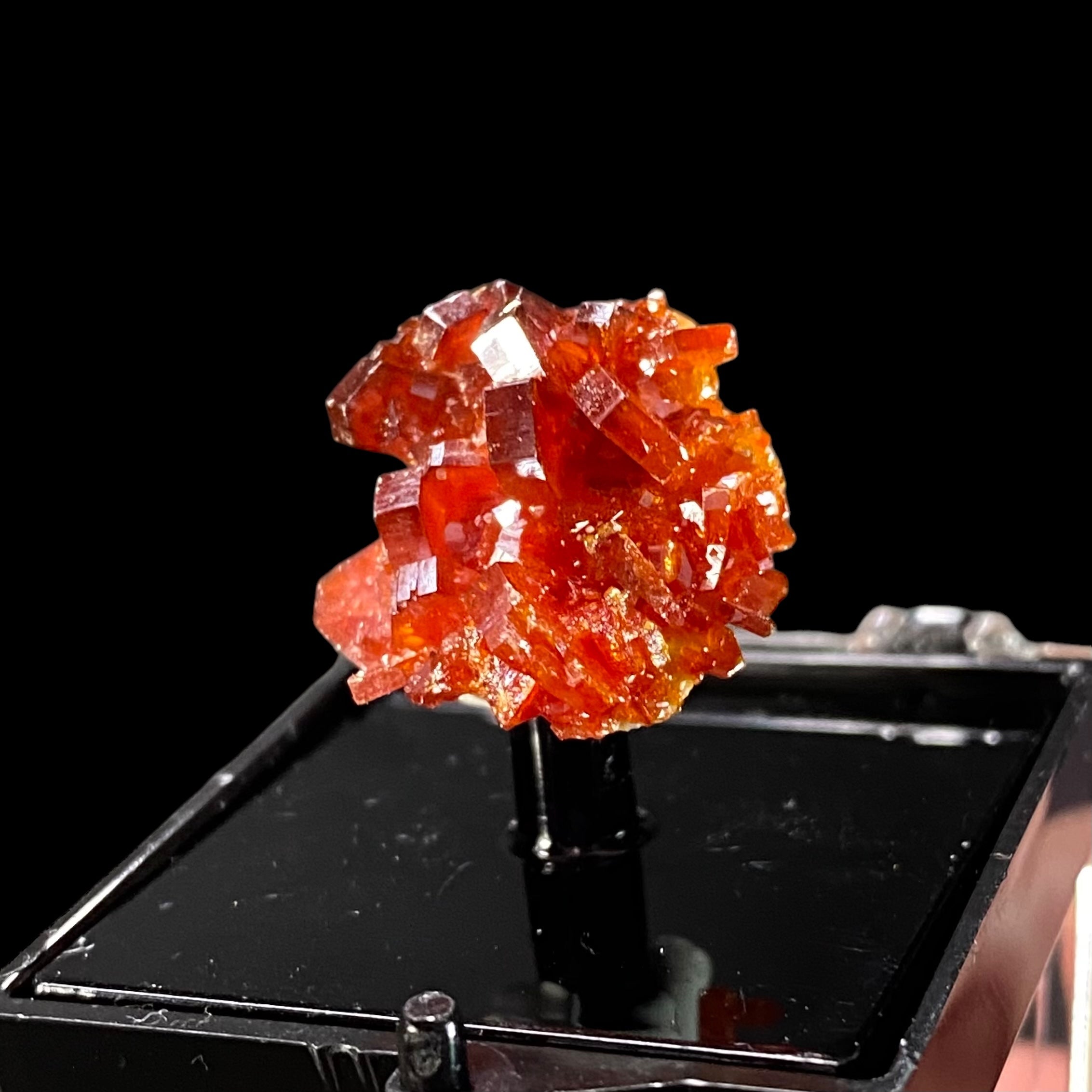 Gemmy Vanadinite Thumbnail Size Cluster in Perky Box