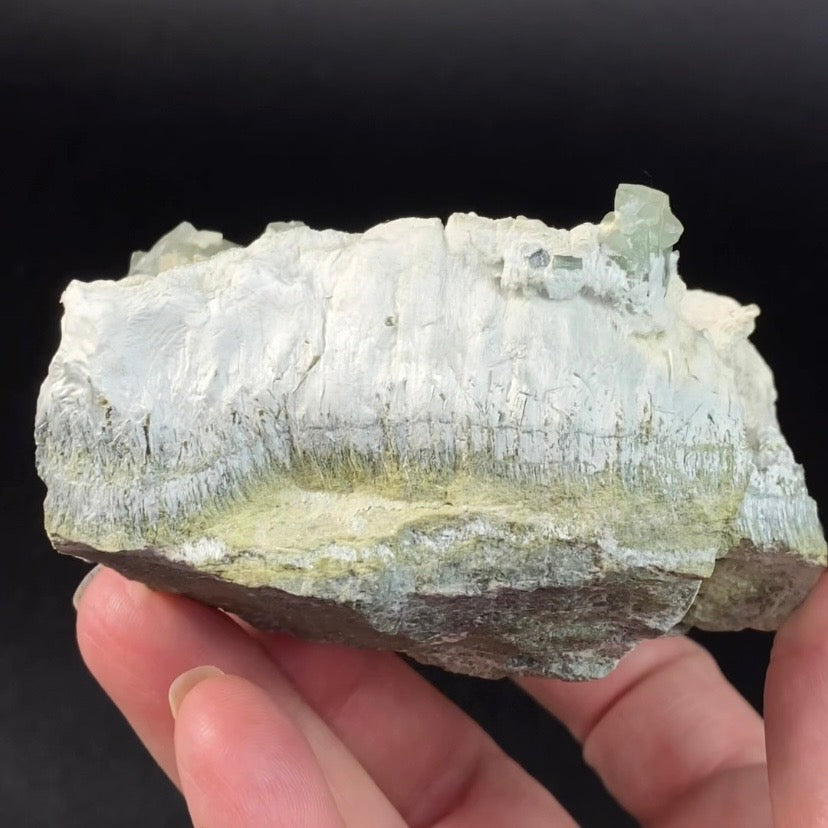 Chlorite Included Pericline Albite Crystals on Matrix