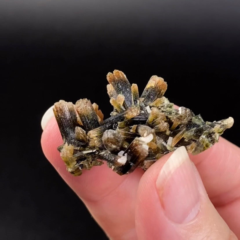 Etched Tip Bi-Color Epidote Crystal Cluster
