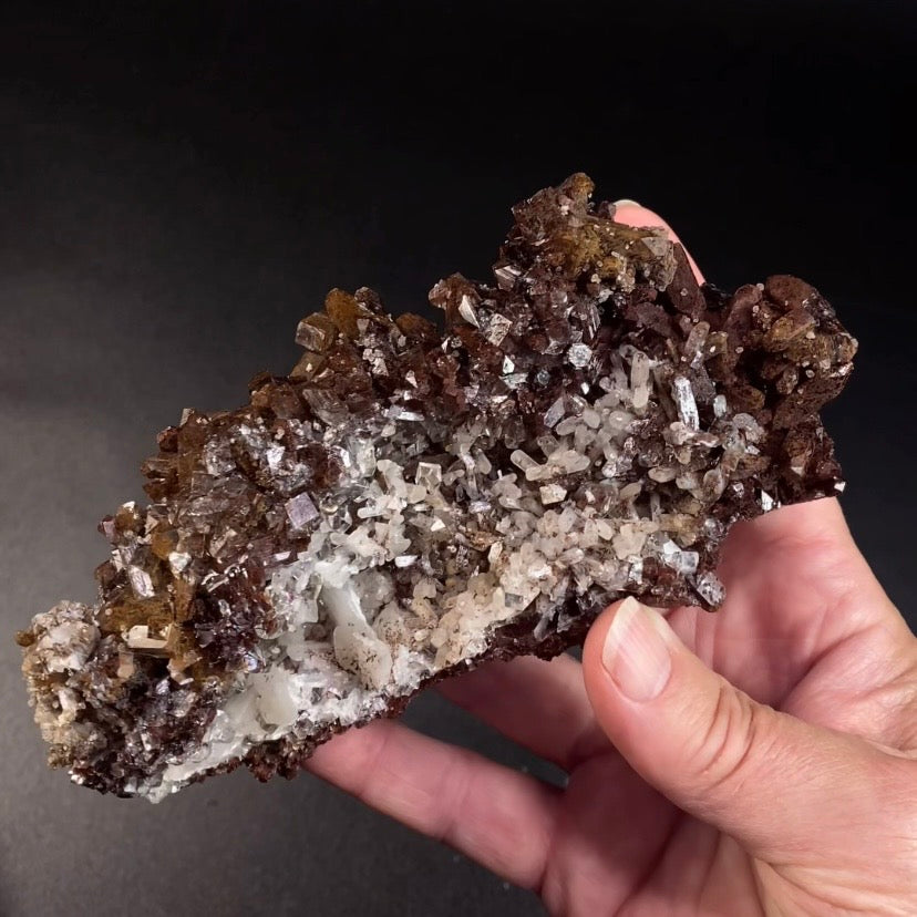 Chocolate Marshy Apophyllite Cluster with Chalcedony from Jalgaon, Maharashtra, India - Natural Crystal Cluster