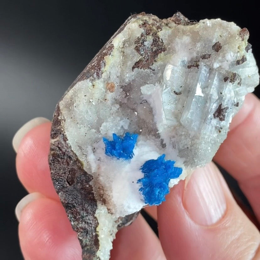 Vibrant Blue Cavansite & Pentagonite Clusters on Druzy Stilbite Over Basalt Matrix