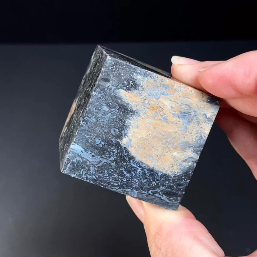 Fossilized Palm Root Ball Polished Cube from Sumatra, Indonesia