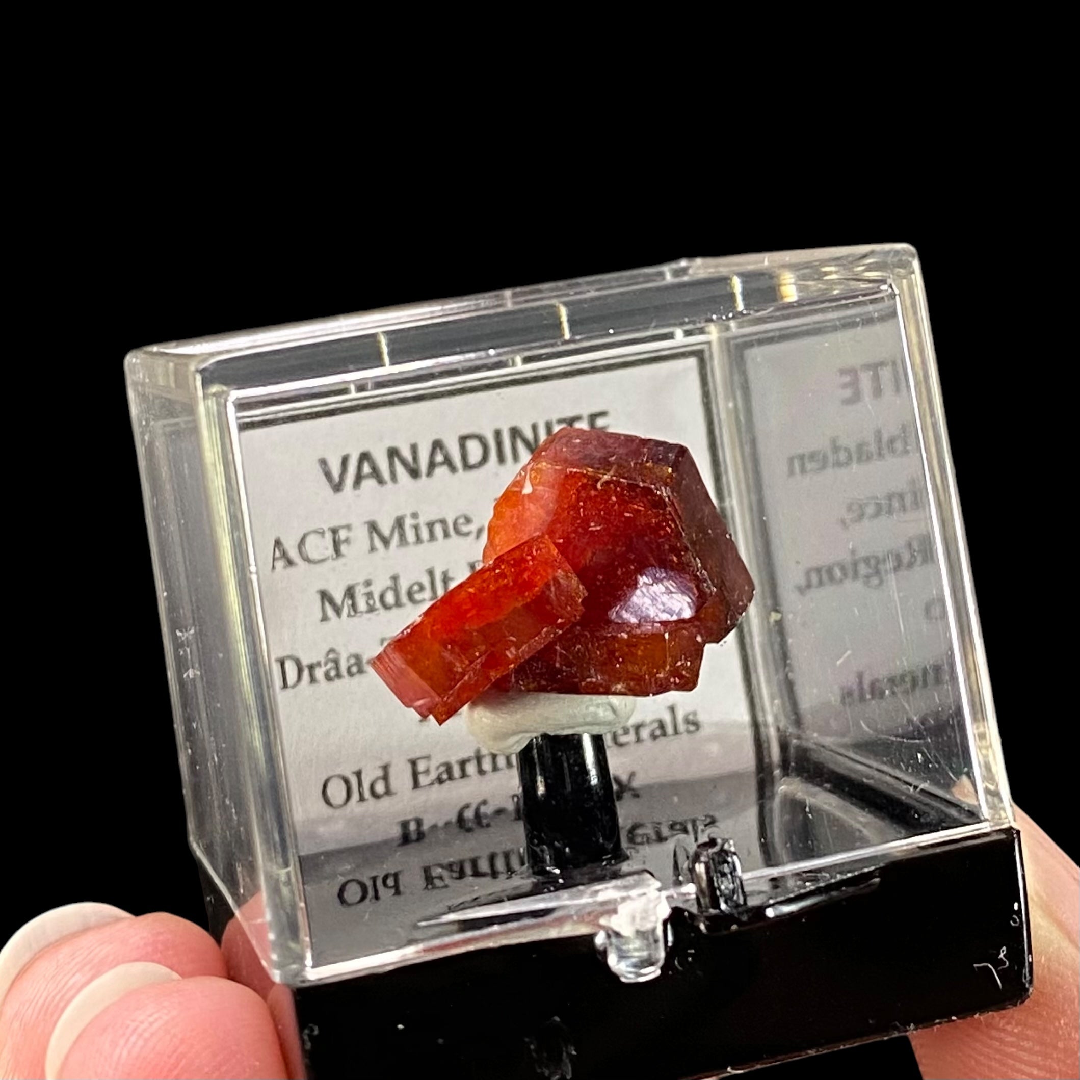 Gemmy Vanadinite Thumbnail Size Cluster in Perky Box