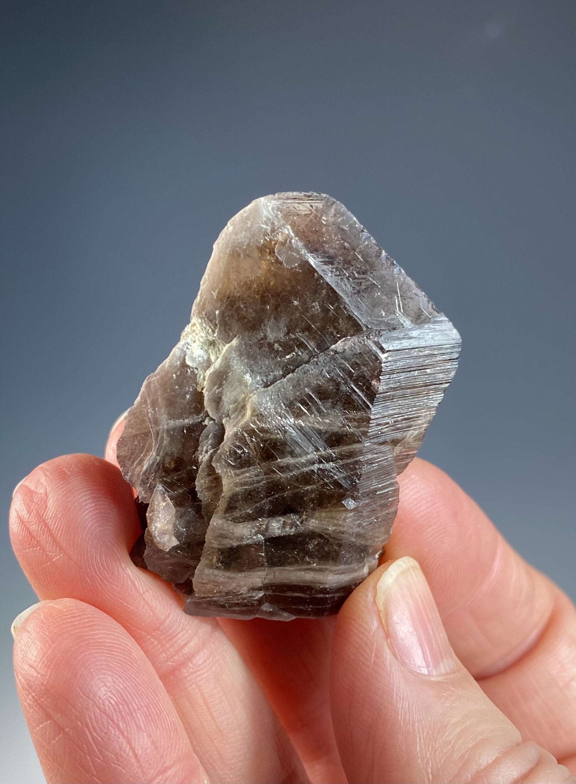 Axinite Crystal with Quartz from Shigar Valley, Gilgit-Baltistan, Pakistan