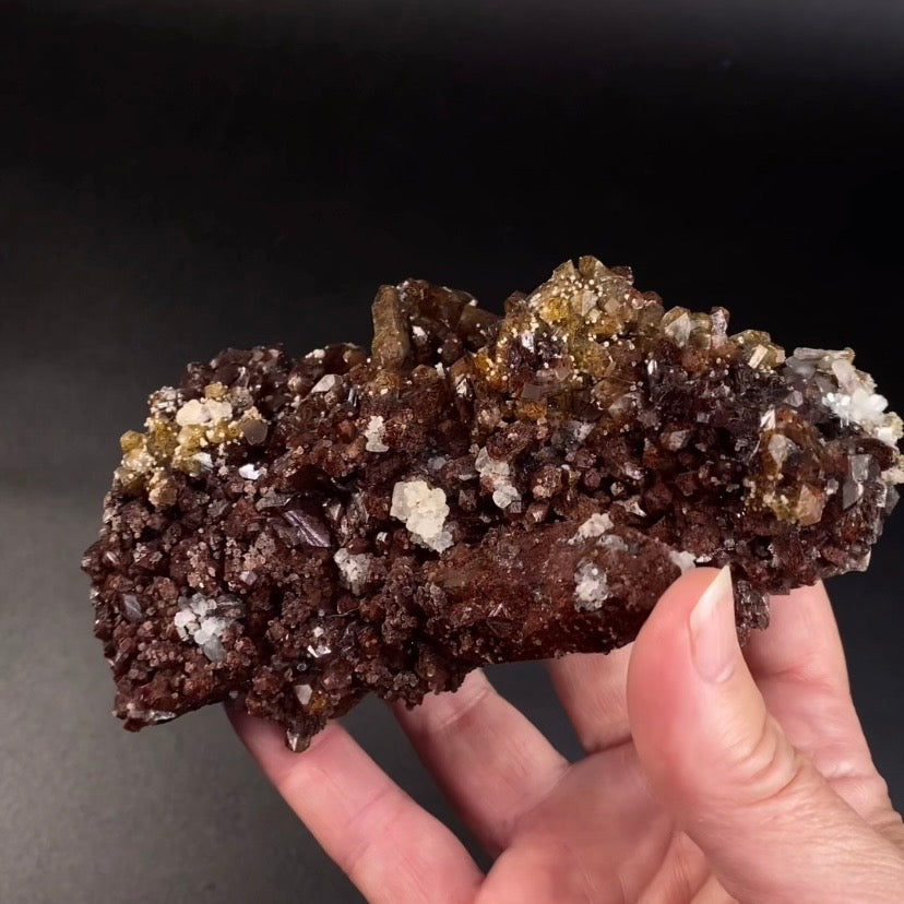 Chocolate Marshy Apophyllite Cluster with Chalcedony from Jalgaon, Maharashtra, India - Natural Crystal Cluster