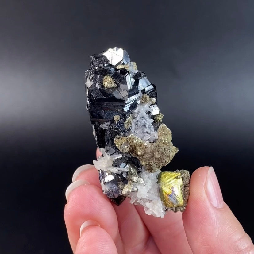 Sphalerite Cluster with Pyrite and Quartz from Trepça Mines, Kosovo