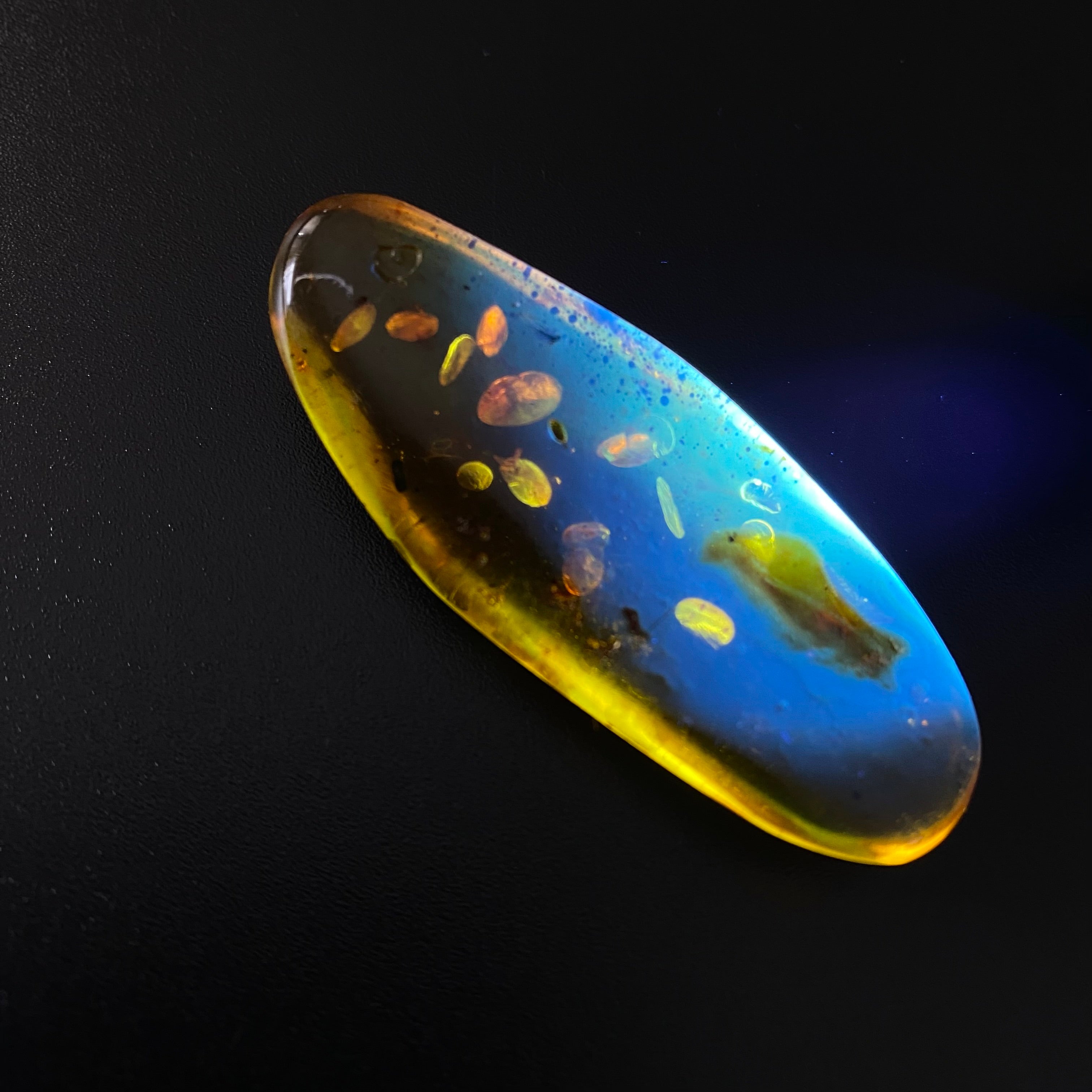 Polished Colombian Amber with Insect Inclusion from Cimitarra, Fluorescent