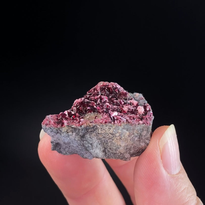 Deep Red Erytherite Crystals on Matrix, Bou Azzer District, Morocco