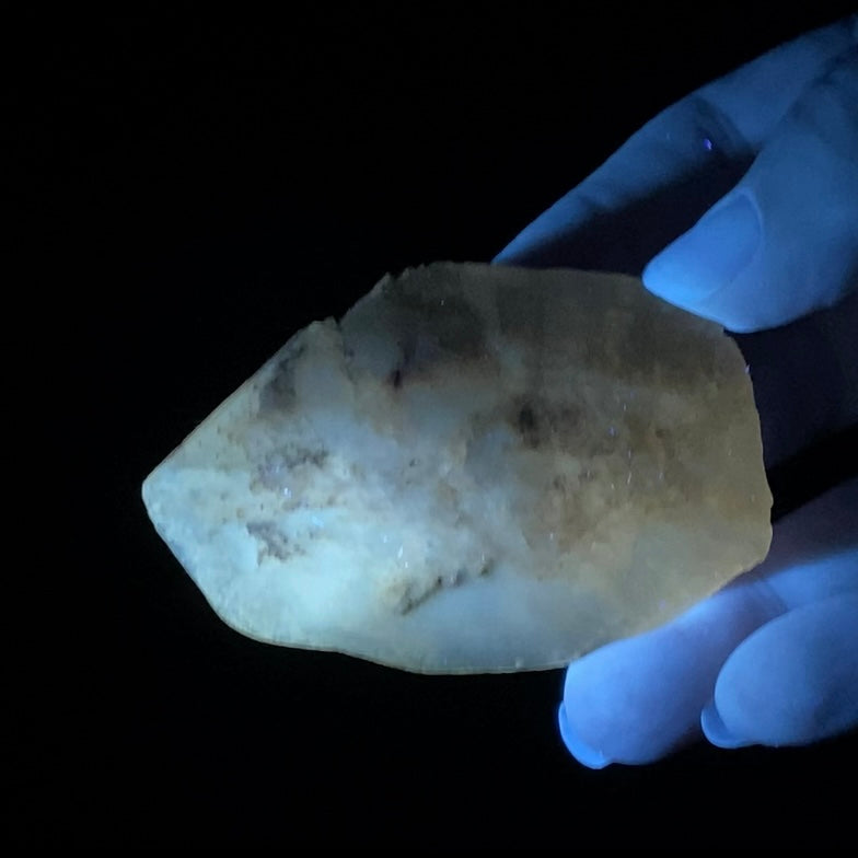 Gypsum var. Selenite Desert Rose Sand Crystal Dollar, Fluorescent & Phosphorescent