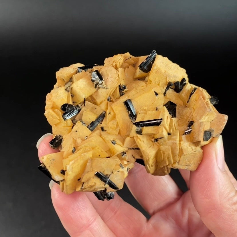 Black Tourmaline Schorl Crystals on Feldspar Matrix