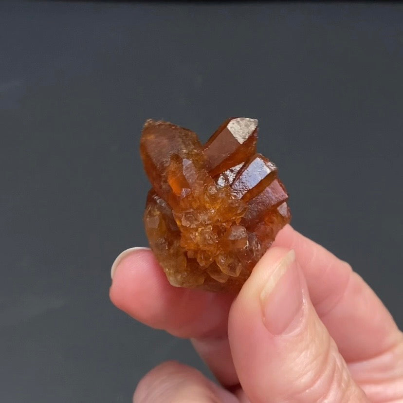 Floater Citrine Colored Honey Brown Quartz Flower Cluster - Midelt, Morocco