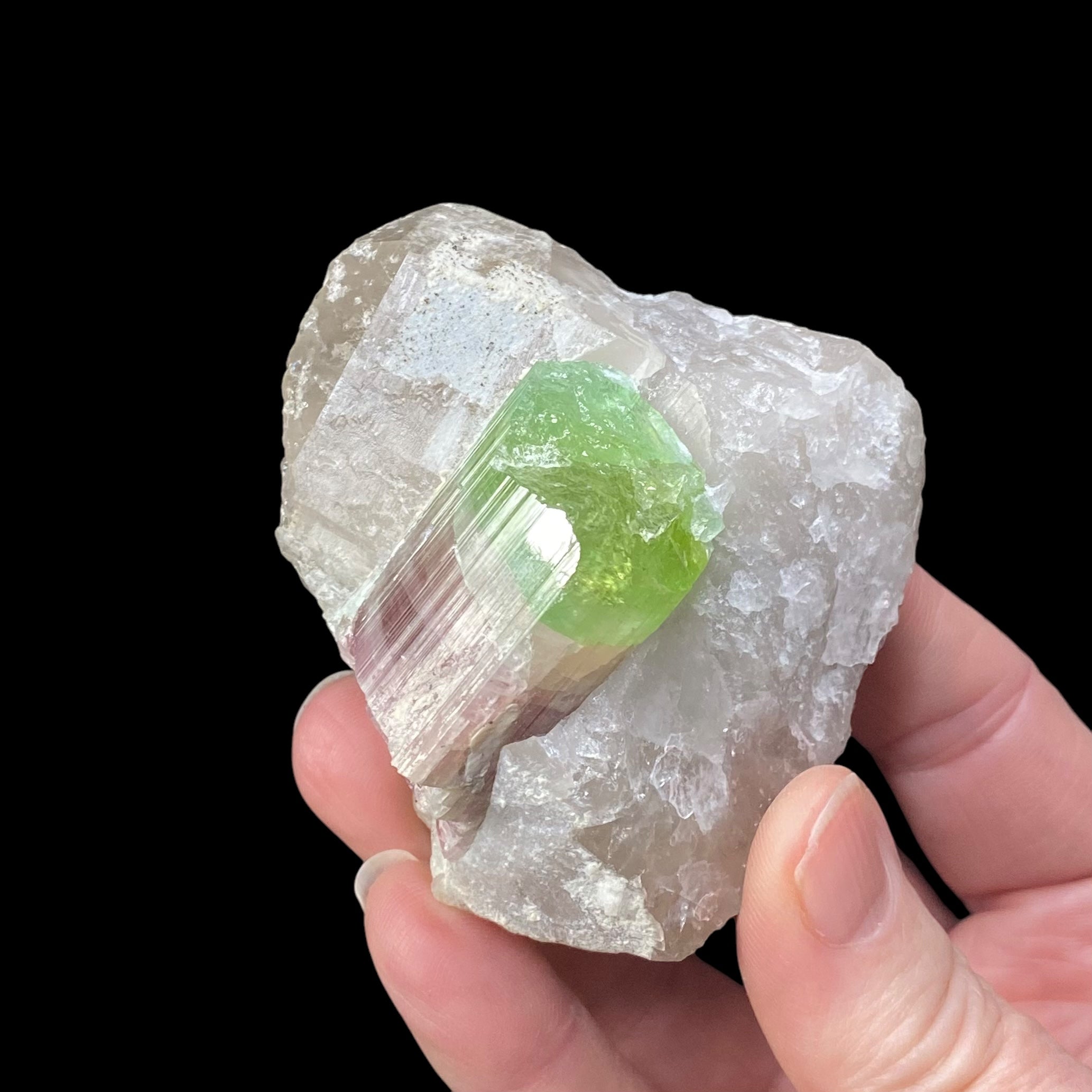 Large Bi Color Pink & Green Tourmaline with Smoky Quartz