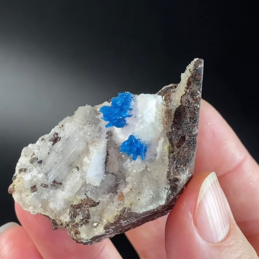 Vibrant Blue Cavansite & Pentagonite Clusters on Druzy Stilbite Over Basalt Matrix