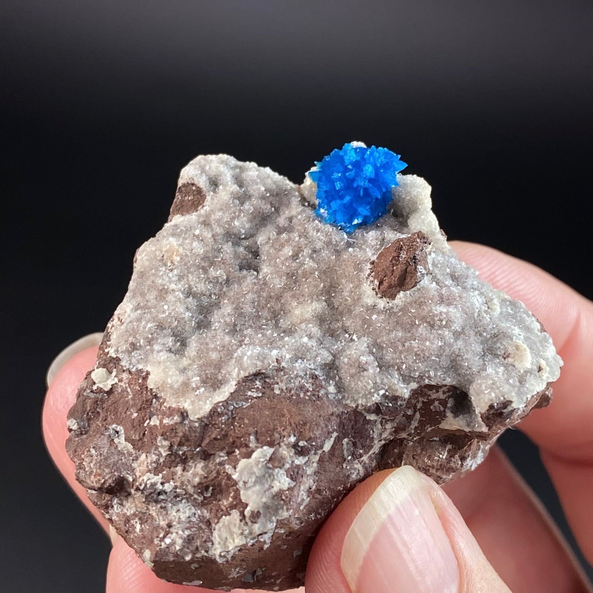 Vibrant Blue Cavansite Cluster on Druzy Stilbite & Basalt Matrix