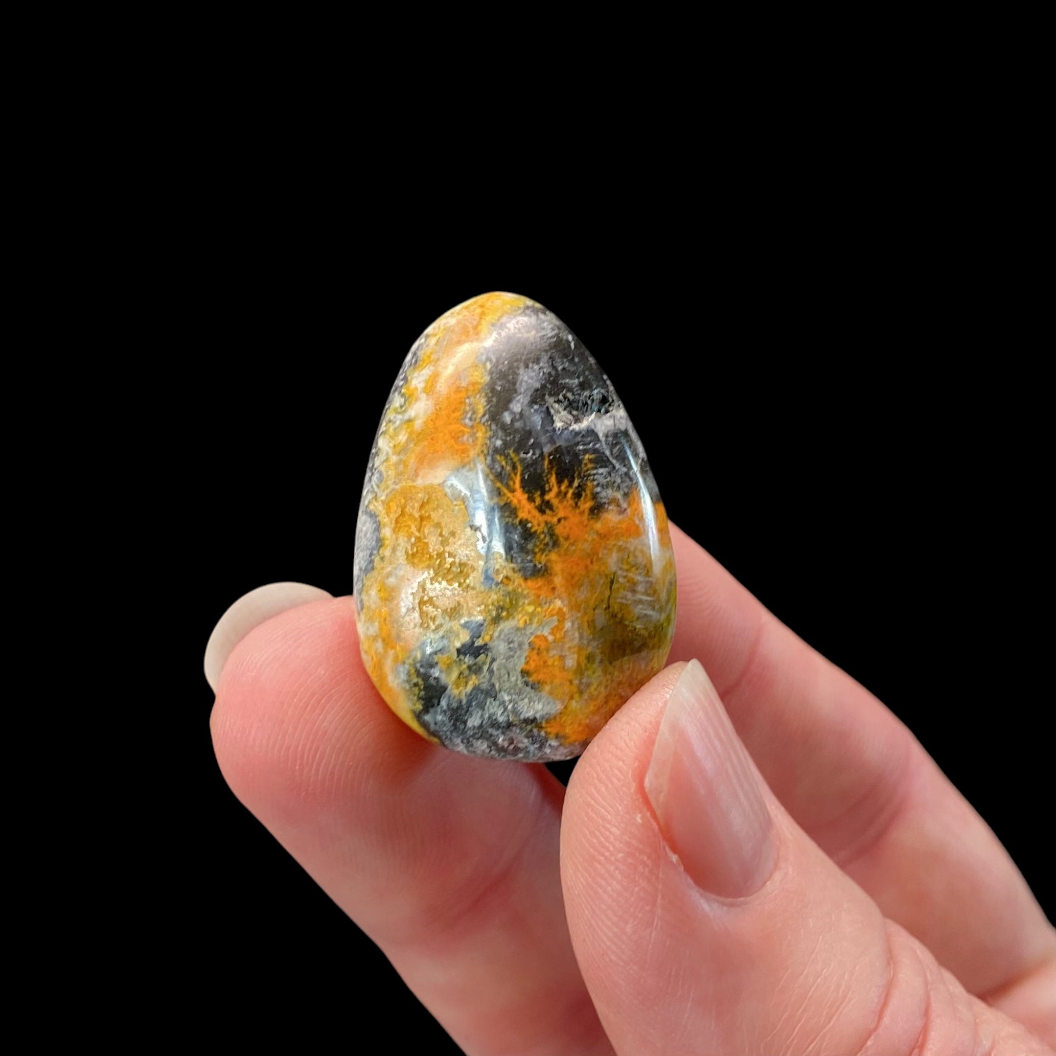 ONE (1) Bumblebee Jasper Tumble Stone