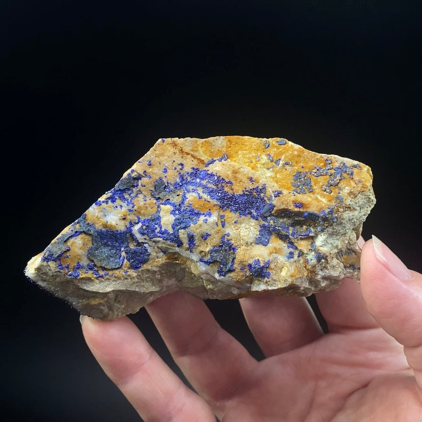 Azurite Crystals on Quartzite, Morocco