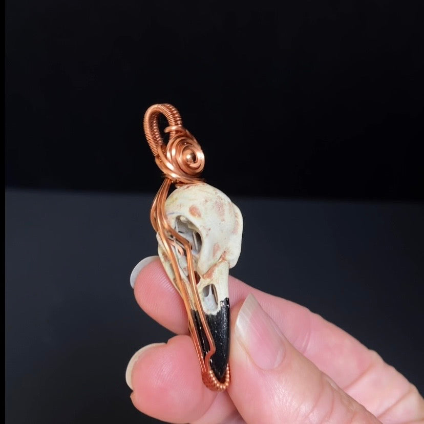 Resin Raven Skull & Spiral Copper Wire Wrapped Pendant