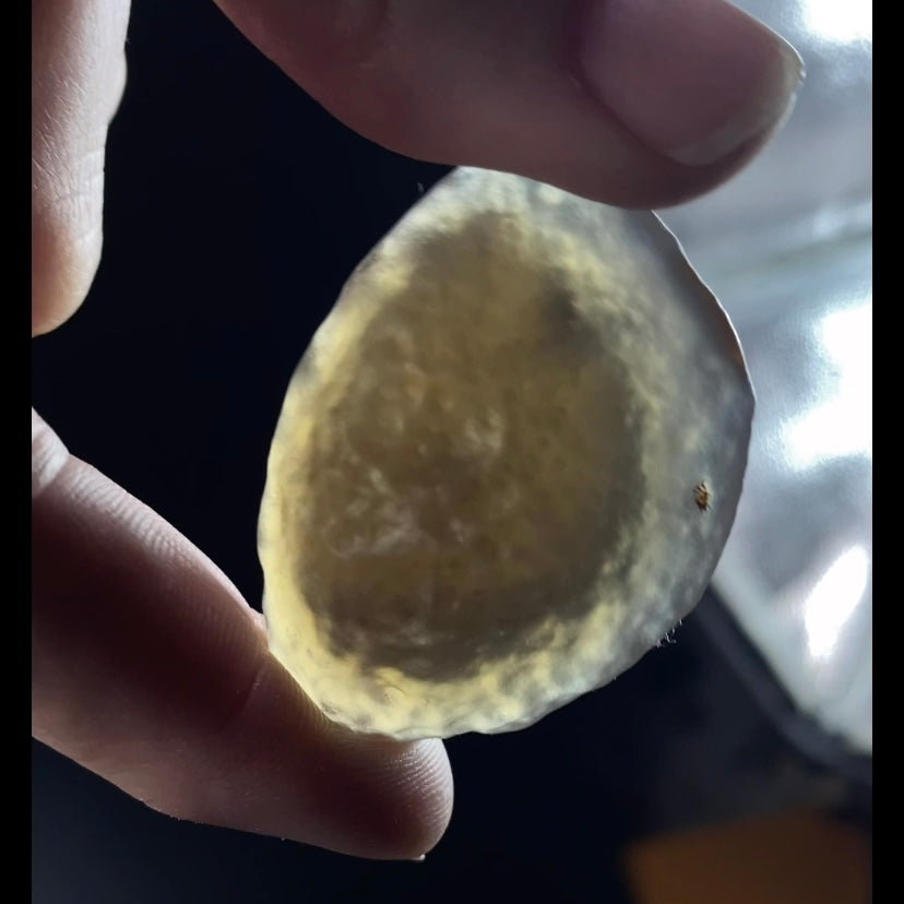 Gobi Desert Agate with Moving Sand Inclusions