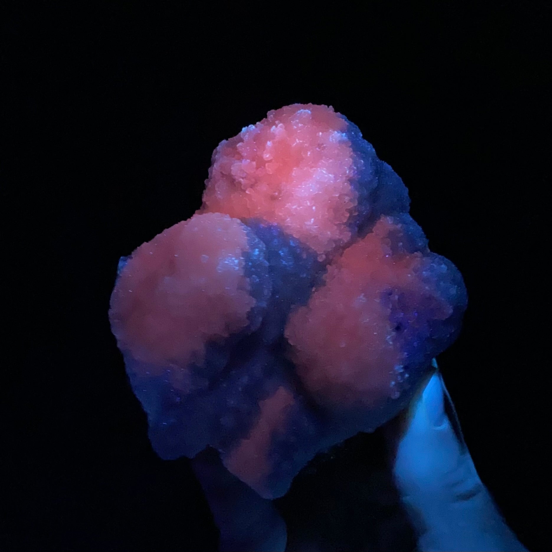 Botryoidal Rhodochrosite, with Mangano Calcite and Pyrite