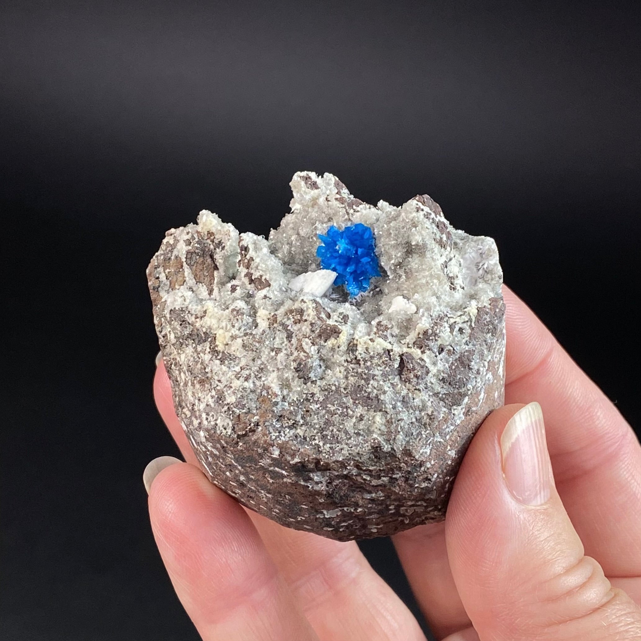 Vibrant Blue Cavansite Cluster on Druzy Stilbite & Basalt Matrix