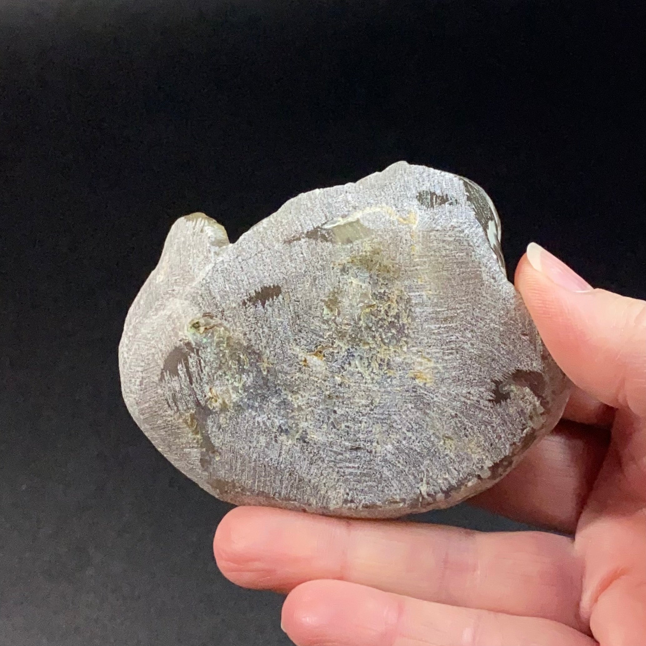 Agatized Botryoidal Chalcedony – Layered Growth with Smooth Overgrowth – Maharashtra, India