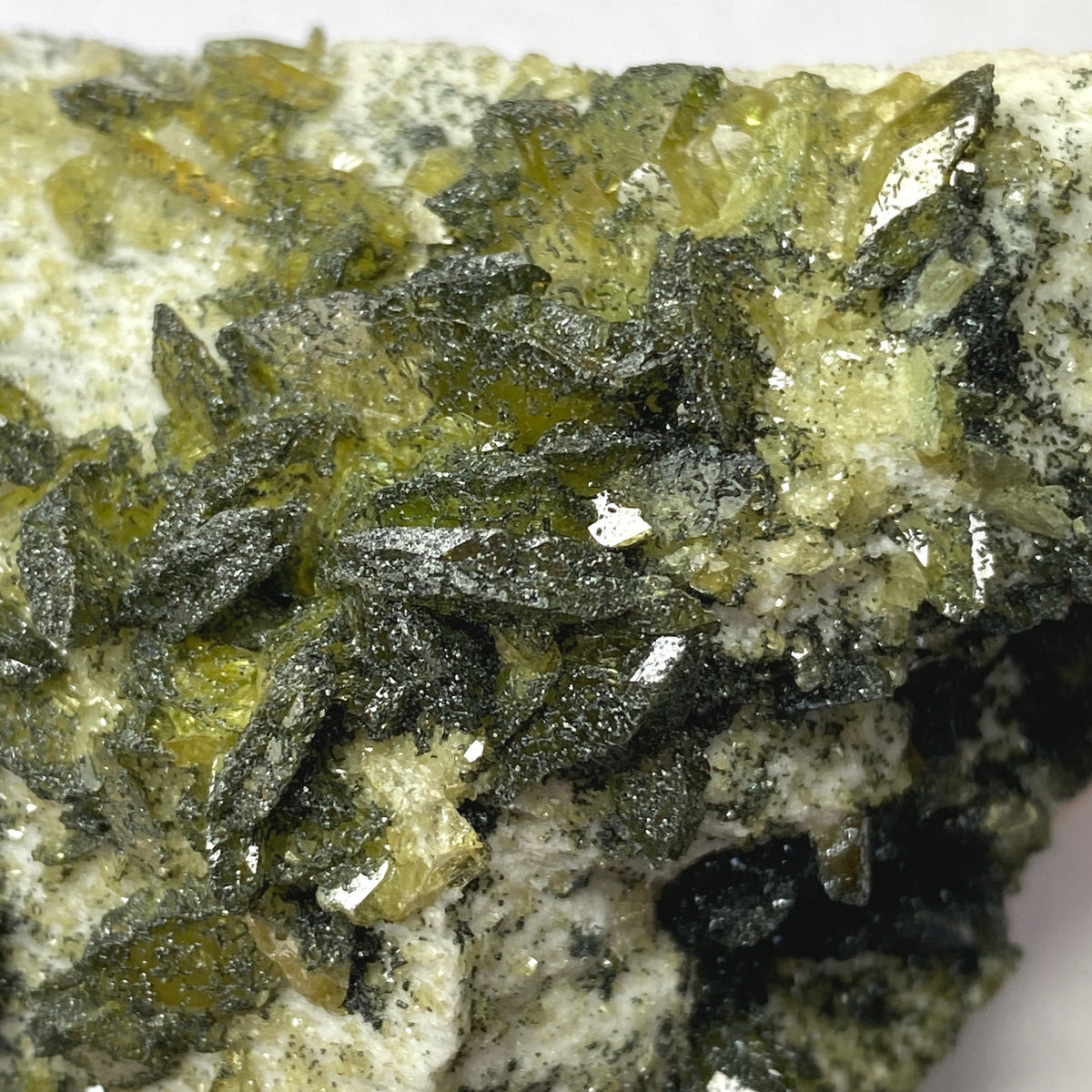 Sphene (Titanite) Dozens of Twinned with Clinochlore on Feldspar, Shigar Valley Pakistan