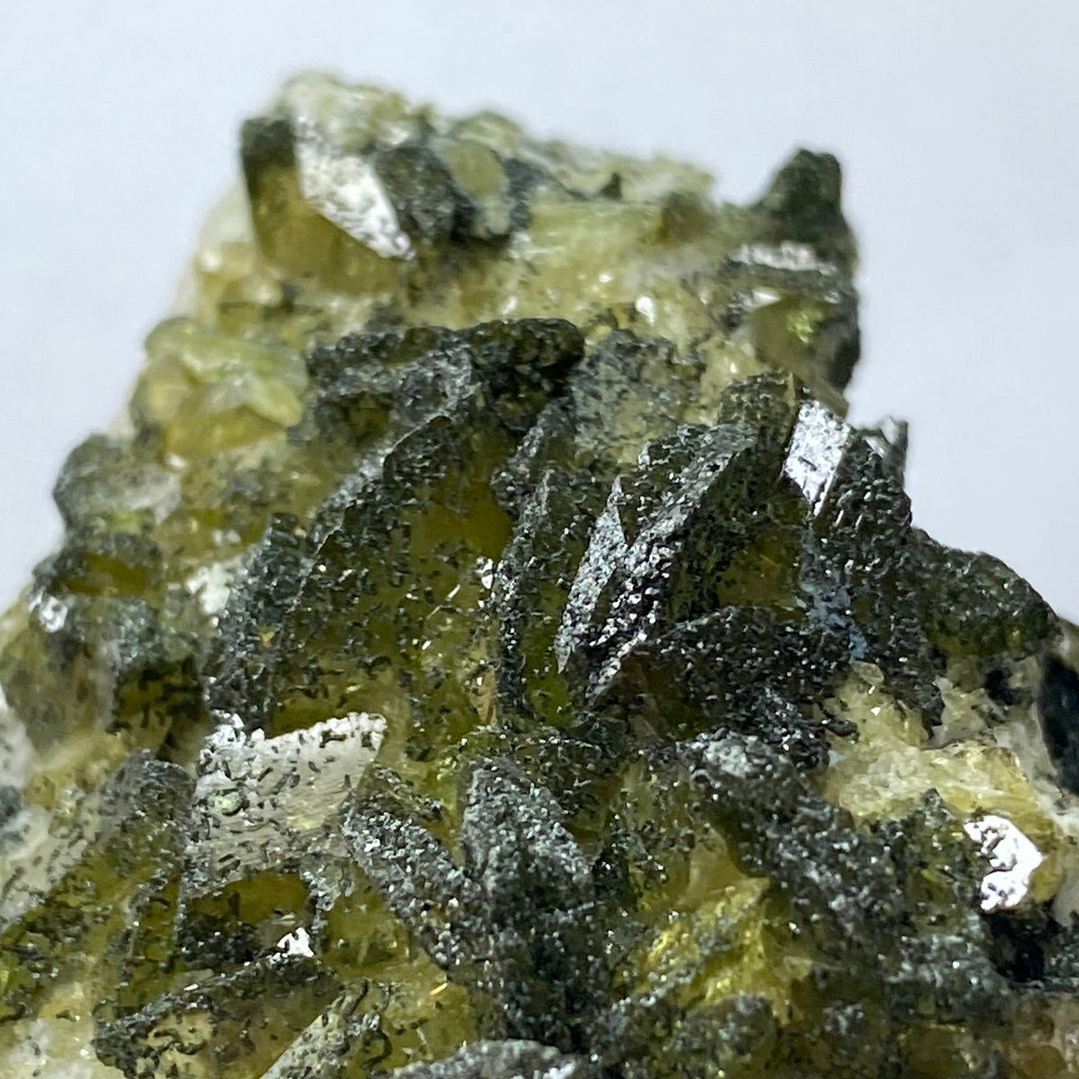 Sphene (Titanite) Dozens of Twinned with Clinochlore on Feldspar, Shigar Valley Pakistan