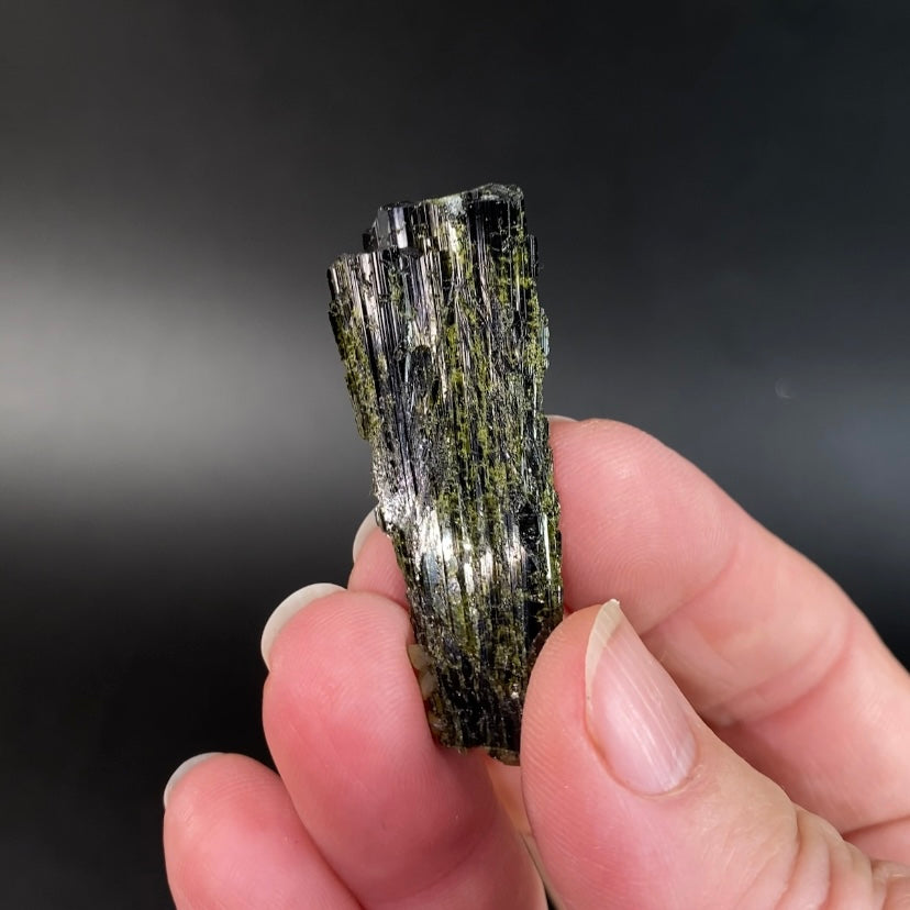 Deep Green Epidote Fan Crystal Cluster
