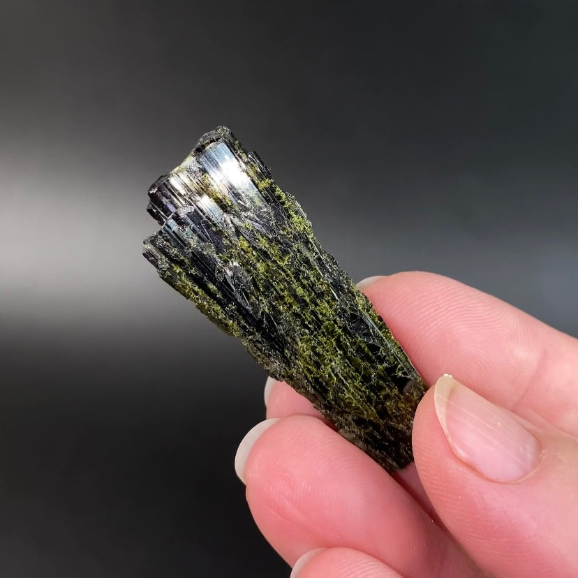 Deep Green Epidote Fan Crystal Cluster