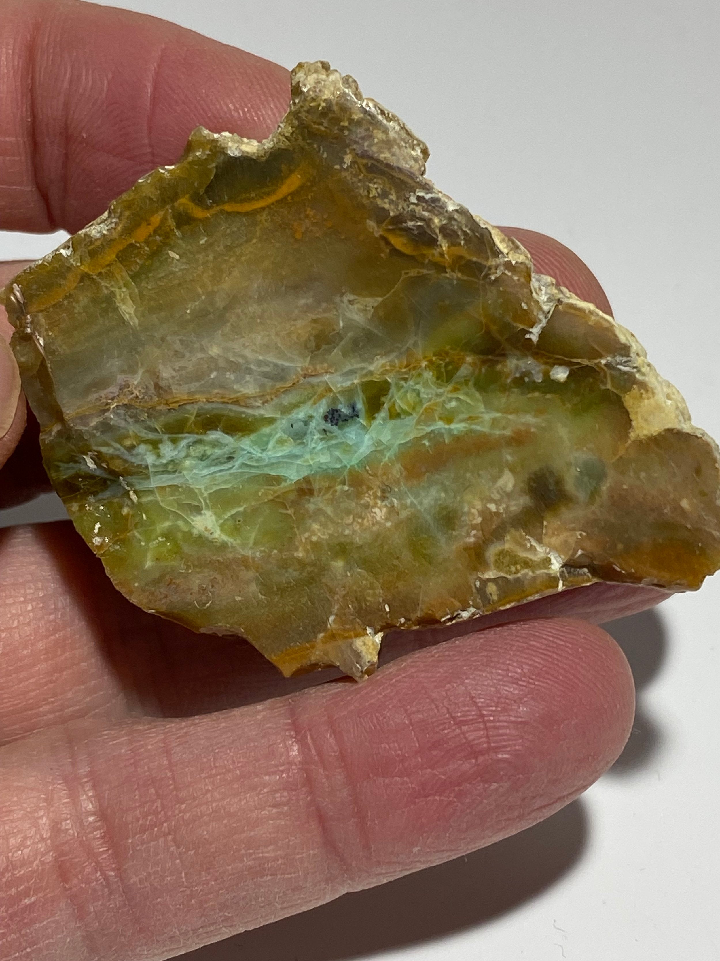 Rare High-Quality Indonesian Blue Green Opal Petrified Wood Polished Slab (11138)