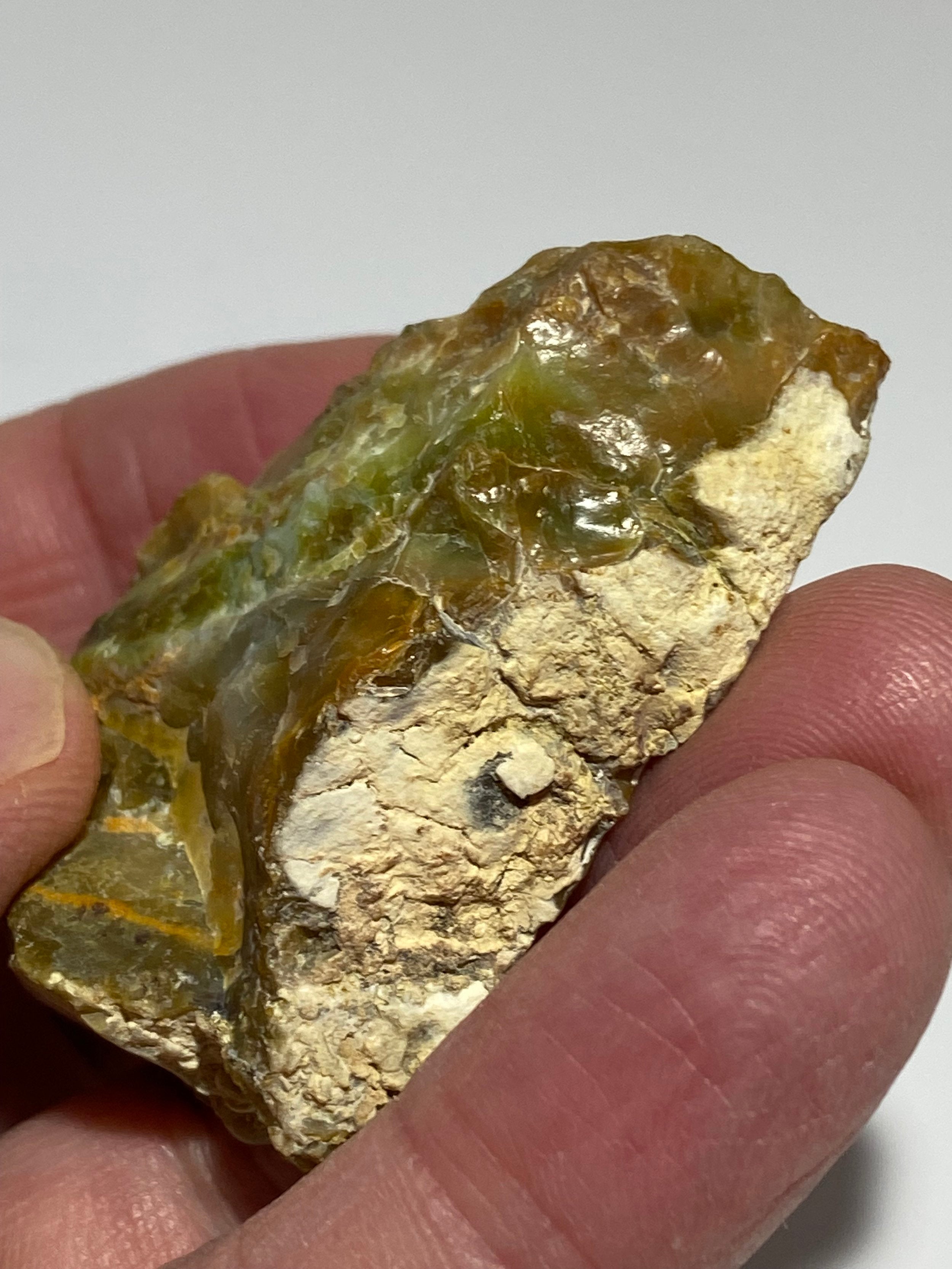 Rare High-Quality Indonesian Blue Green Opal Petrified Wood
