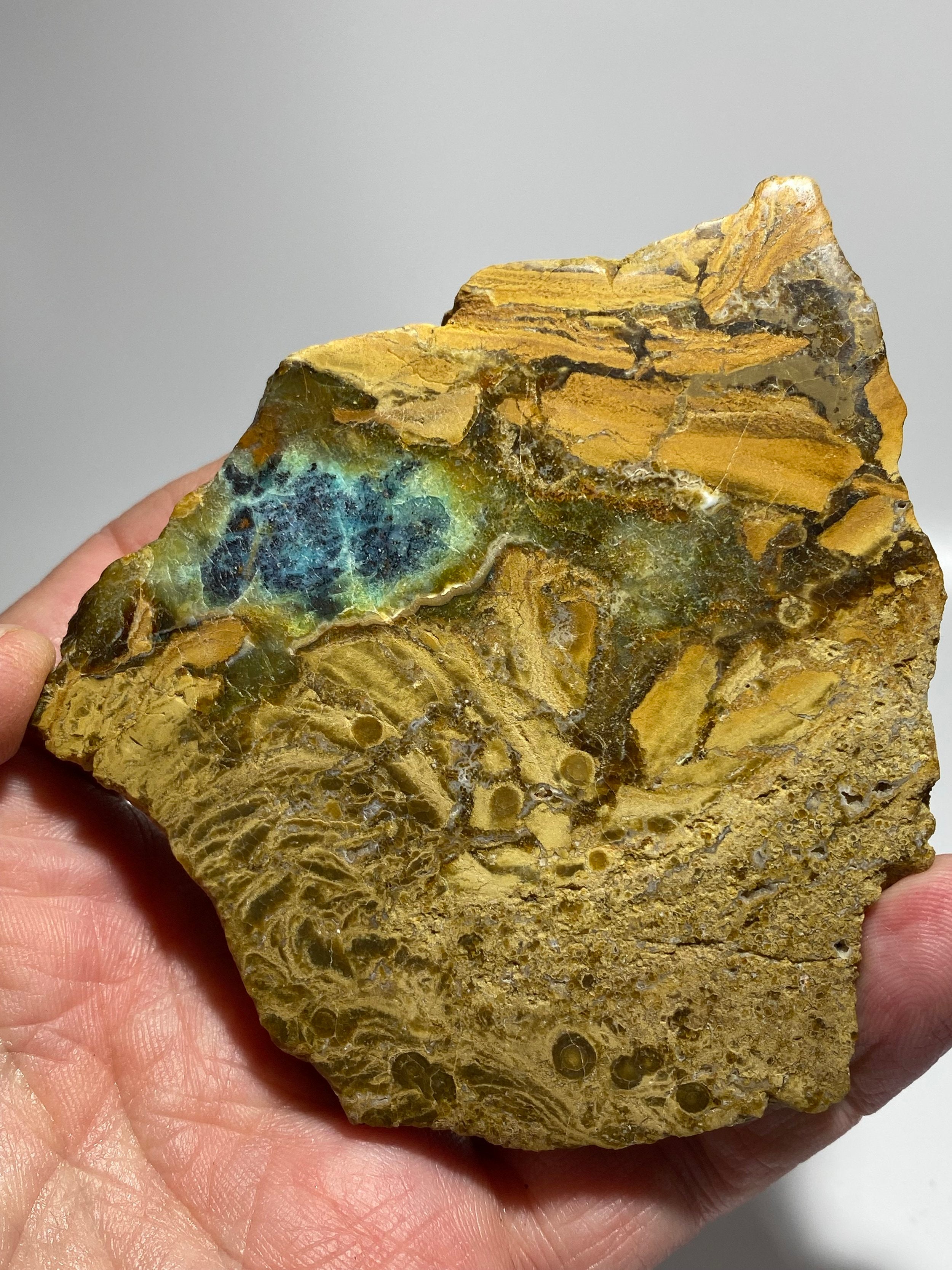 Rare High-Quality Indonesian Blue Opal Petrified Wood Polished Slab (13442)